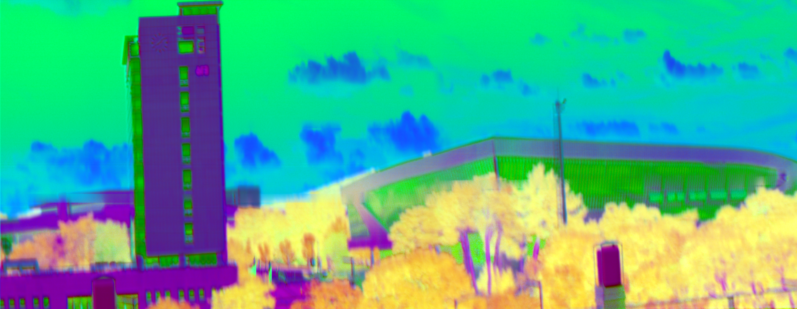 같은 KAIST 관측 장면의 DN 기반 NDVI 지수 지도